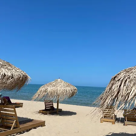 In Long * 슈코르필로브치