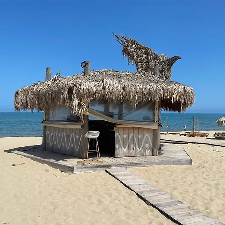 In Long Шкорпиловци